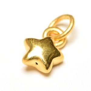 Tiaria 24K Golden Star Pendant Charm 0.3 Emas Logam Mulia 24K (1)